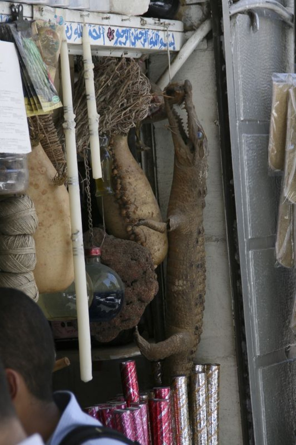 Dried alligator in Arabic Medicine Stalls, traditional medicine